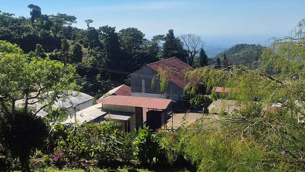 Die Finca Hamburgo ist einer der führenden Kaffee-Produzenten in Mexiko