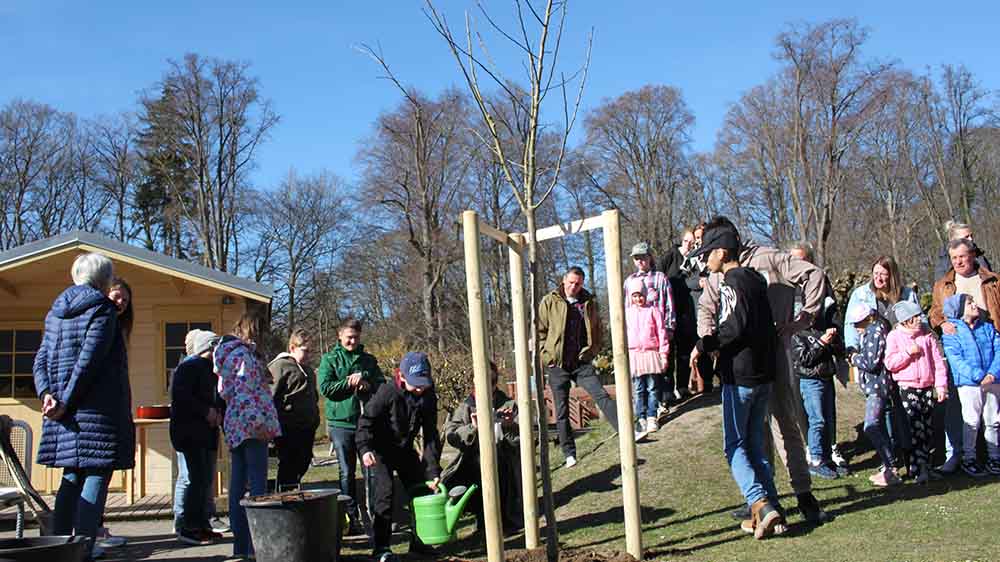 An der Förderschule Putubs wächst jetzt ein Hoffnungsbaum