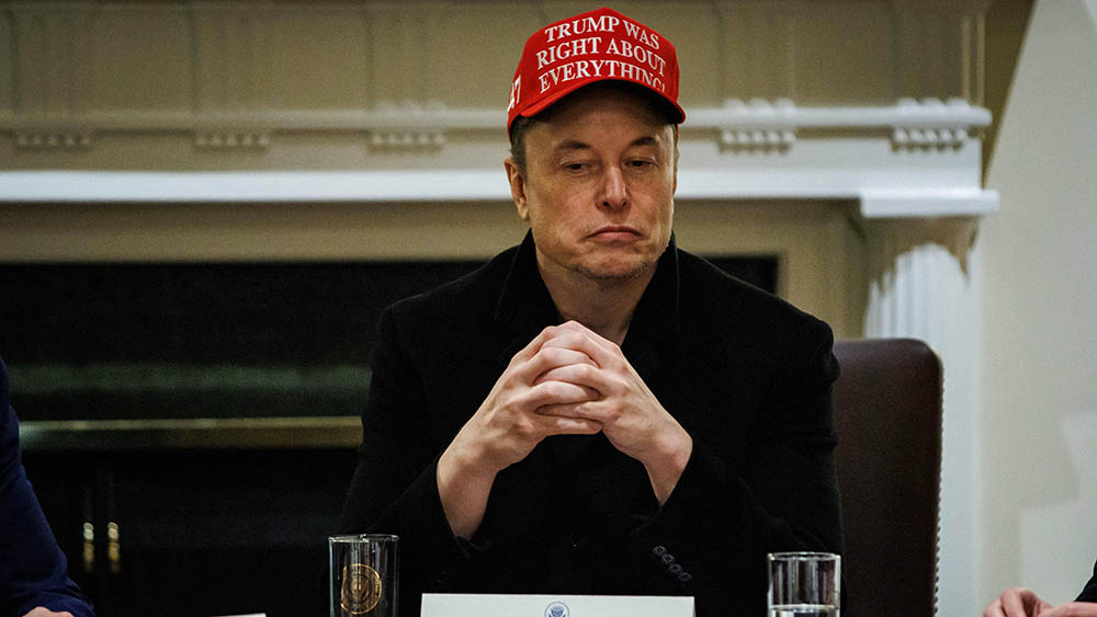 Seitdem sich Elon Musk für Donald Trump einsetzt, gibt es in Deutschland immer weniger Tesla-Fans