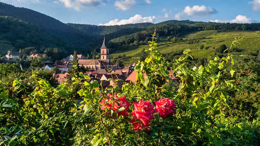 Blick auf eine Kirche im Elsass: In der Grenzregion arbeiten evangelische Kirchen beiderseits des Rheins an engerer Zusammenarbeit – ein Zeichen für Versöhnung und gelebte Ökumene