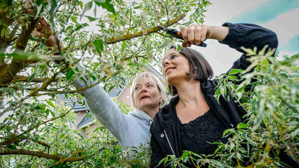 Ursula Albrecht-Ommen, ehrenamtliche Gartenfachberaterin (l), hier mit Landesgartenfachberaterin Angela Maria Rudolf, in ihrem klimagerechten Garten in Hambühren-Ovelgönne