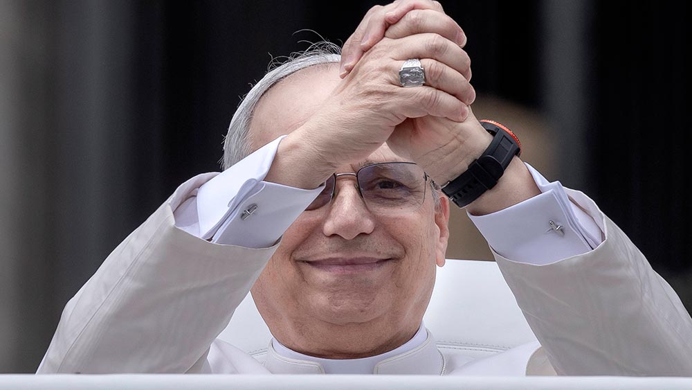 Papst Leo XIV. auf dem Zollstock – für den guten Zweck