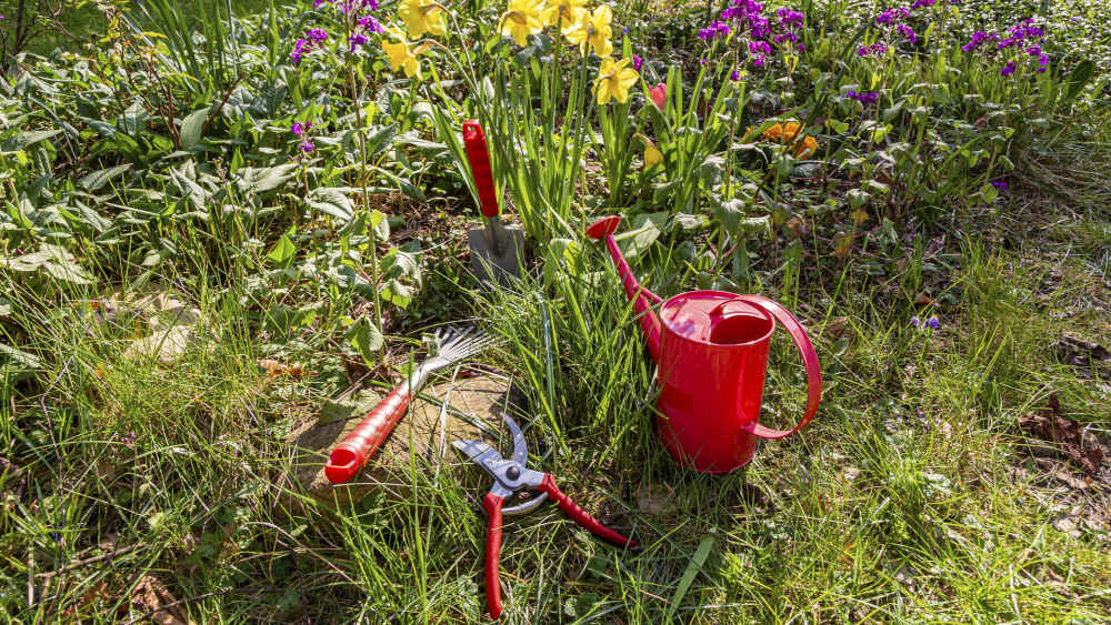 Der Rasenmäher darf öfter mal bei einem klimaresistenten Garten in der Garage bleiben