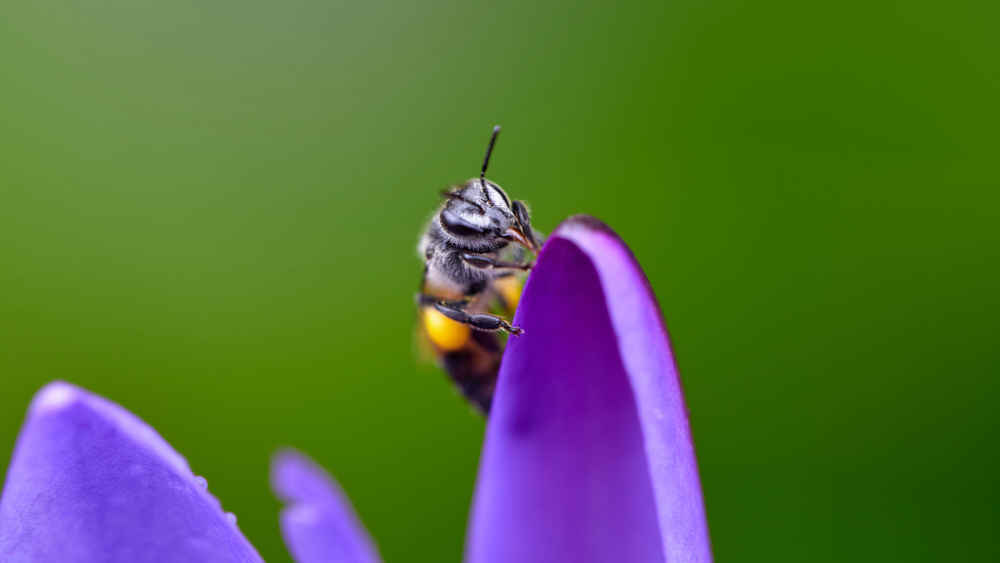 Trotz Klimawandel ist Umweltschutz für Menschen in Deutschland nicht mehr so wichtig