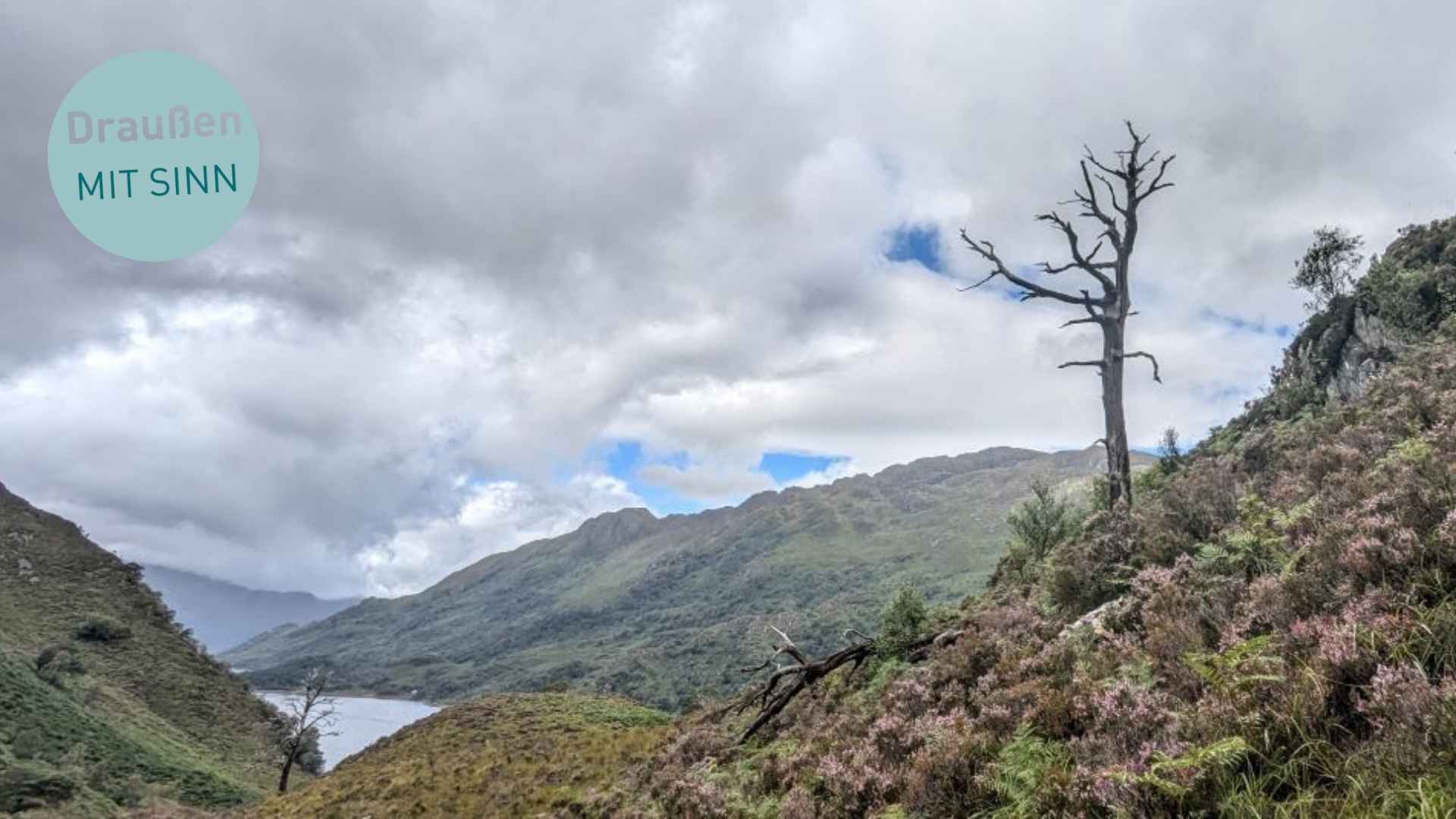 Die raue Landschaft Schottlands hat ihren eigenen Charme