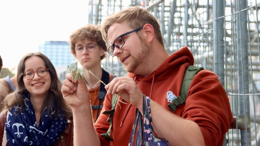 Botaniker Kolja Bodendieck zeigt Teilnehmern die "Dach-Trespe"