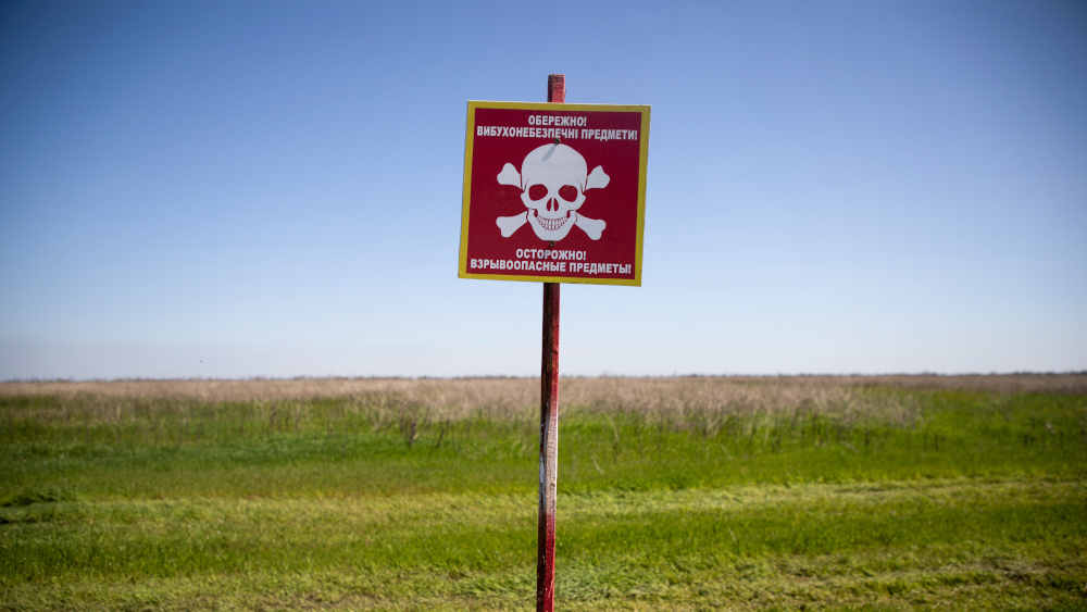 Mehrere osteuropäische Länder überlegen aus der Ottawa-Konvention gegen Landminen auszusteigen (Symbolbild)