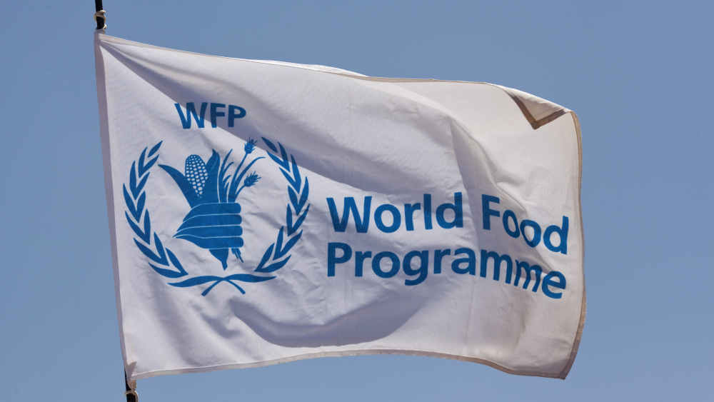 Image - UN-Ernährungsprogramm erwartet 40 Prozent weniger Geld