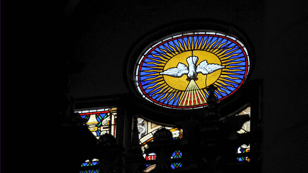 Pfingsttaube im Kirchenfenster in Bückeburg