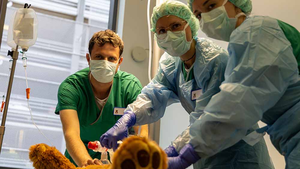 Teddyklinik in Darmstadt: Wenn Kuscheltiere zum Arzt müssen
