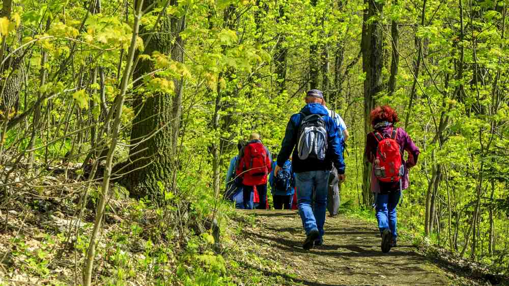 Image - Tourismusministerin: Pilgern fördert Achtsamkeit
