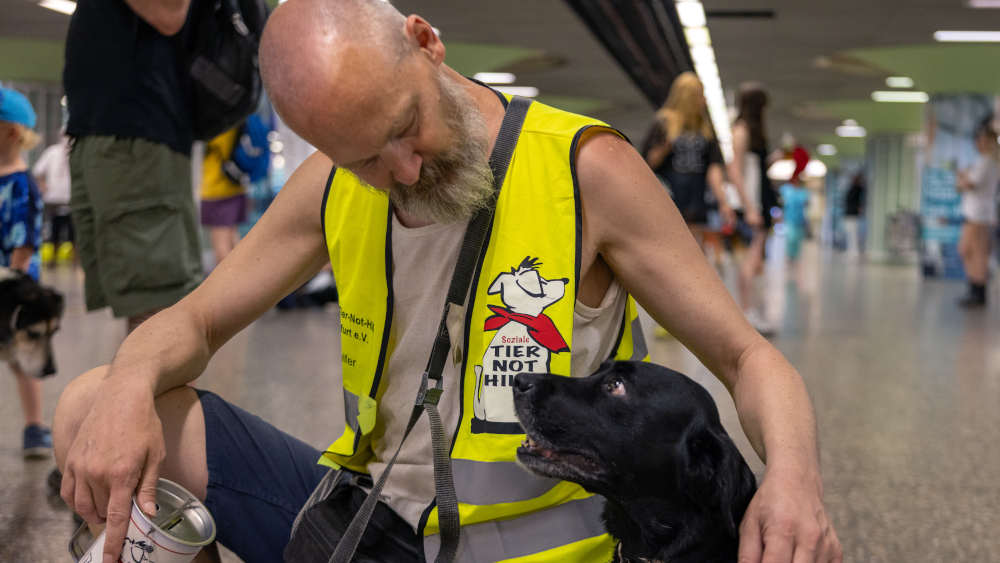 Der 53-jährige Tobi, selbst einige Jahre obdachlos und angewiesen auf die Tiernothilfe, macht jetzt als freiwilliger Helfer mit