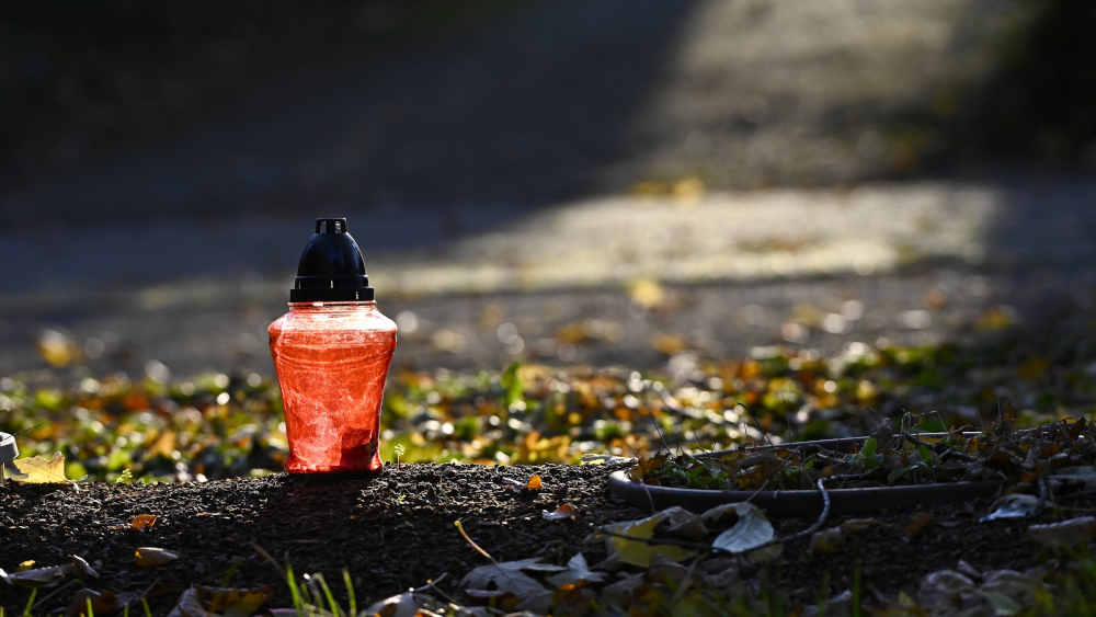 In den letzten Jahren sind die Suizidraten weltweit um knapp 30 Prozent gesunken