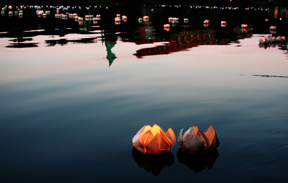 Jede Lotosblüte steht für eine Seele. In Kiel schwimmen sie am 6. August zur Erinnerung an die Opfer der Atombombenabwürfe auf dem Kleinen Kiel