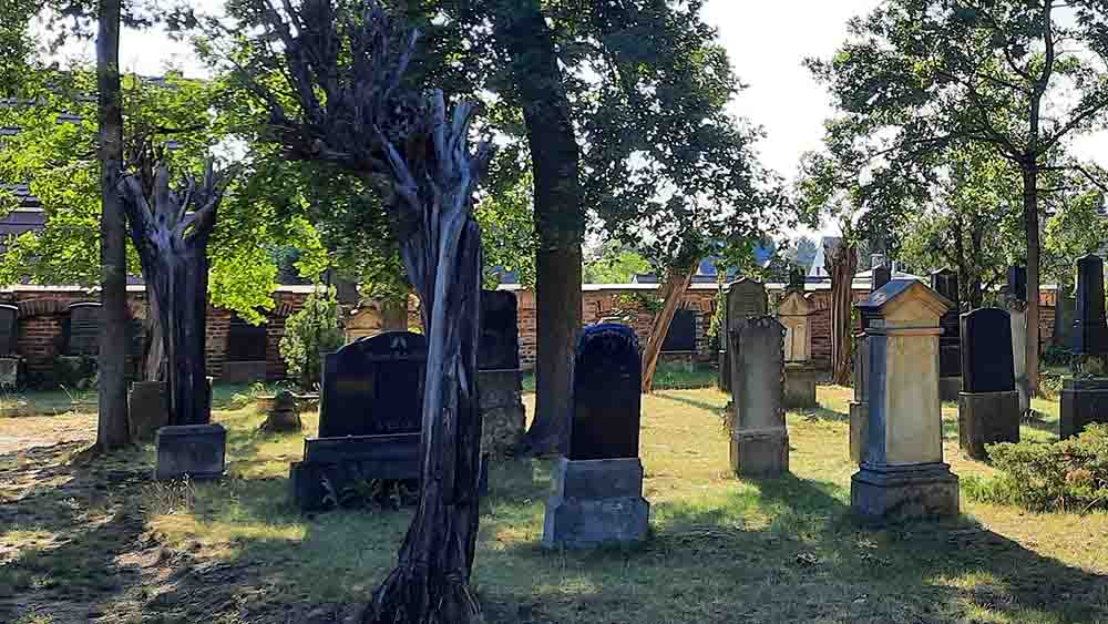 Historischer jüdischer Friedhof in Guben mit den noch erhaltenen Grabsteinen, die Michael Domke seit den 70er-Jahren pflegt