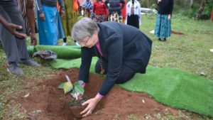 Eine Frau pflanzt einen Baumsetzling