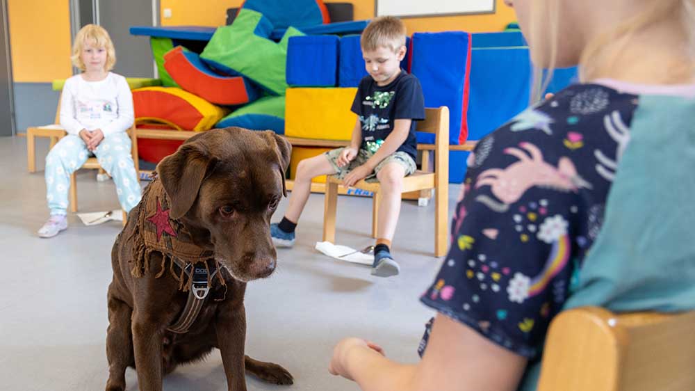 Die Kinder der Kita lernen bei der Arbeit mit Samu, ihre Ängste zu verlieren