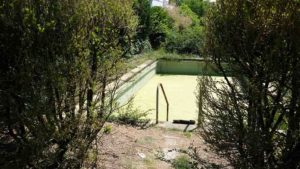 Zugewachsener Garten mit einem leeren Pool