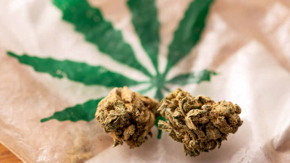 Eine neue Studie zeigt: Jugendliche konsumieren weniger Cannabis, junge Erwachsene hingegen mehr