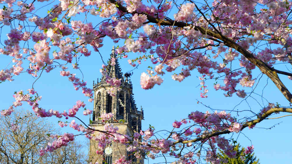 Die Evangelische Kirche in Mitteldeutschland mit dem Magdeburger Dom will bis 2045 klimaneutral werden