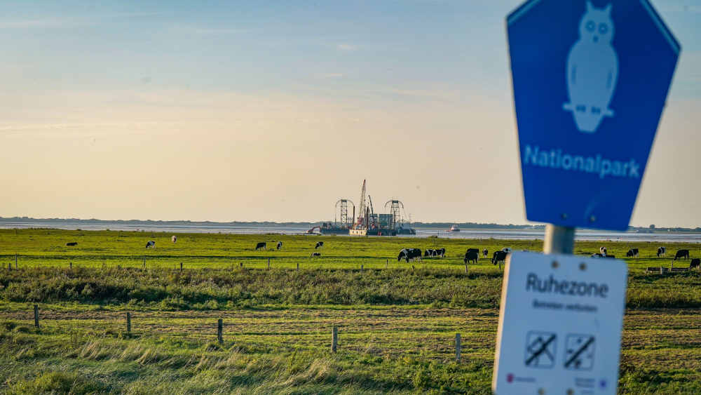 Umweltschützer sehen Nationalpark Wattenmeer bedroht