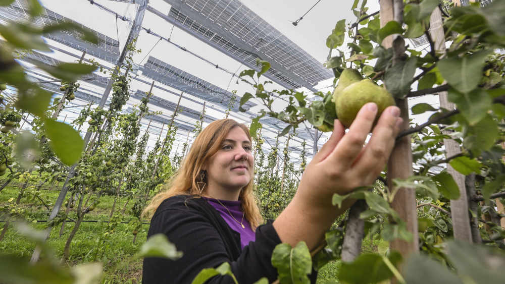 Greta Ott ist Agrarwissenschaftlerin beim Landwirtschaftlichen Technologiezentrum Augustenberg