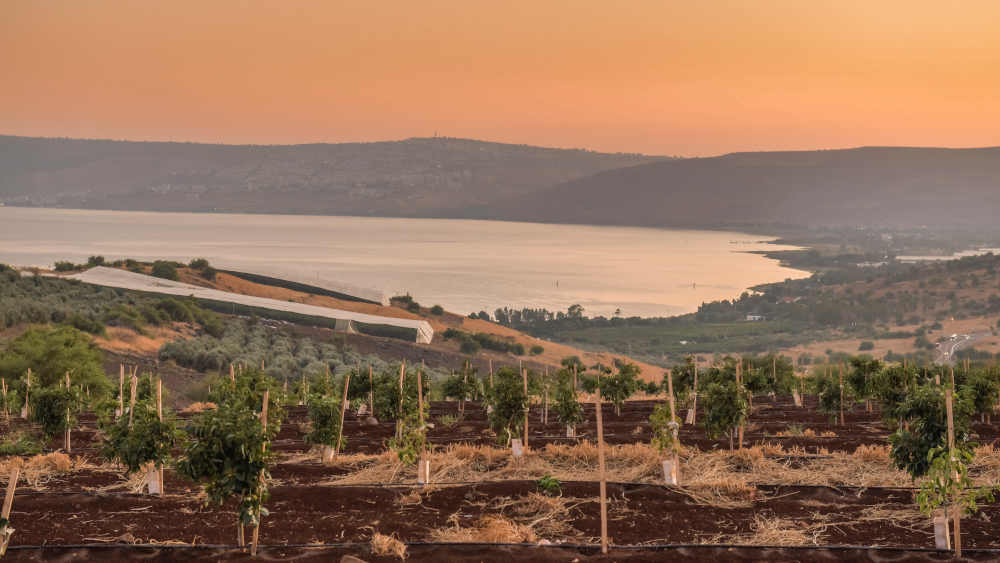 Blick auf den See Genezareth: Ein reinigendes Feuer hat den Blick auf antike Reste am See freigegeben
