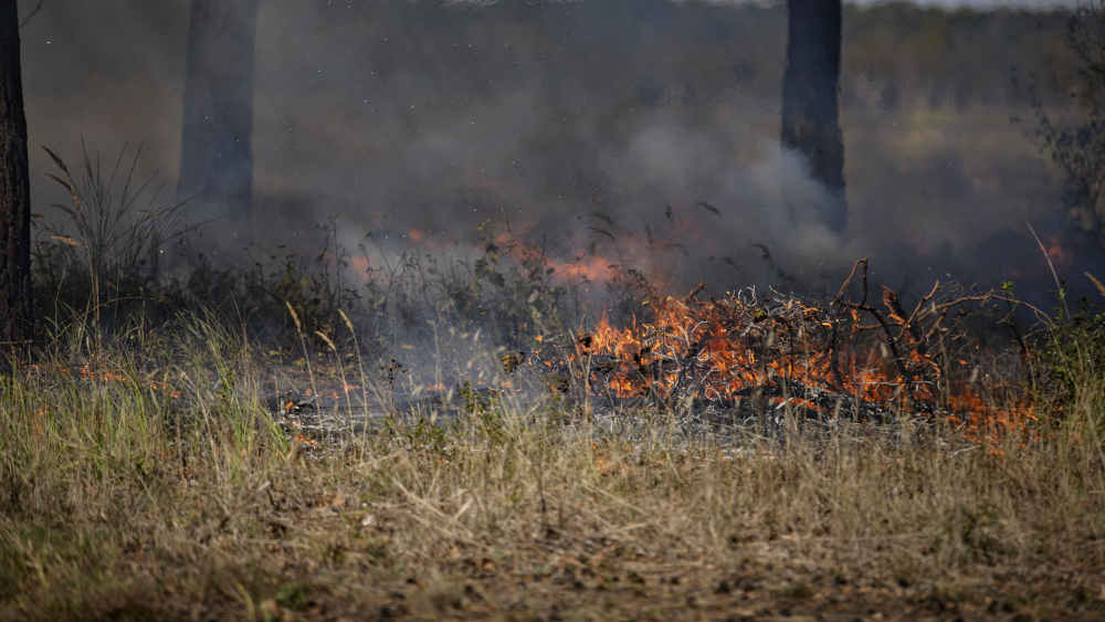 Ein Großbrand im Etosha-Nationalpark bedroht Tier- und Pflanzenwelt (Symbolbild)