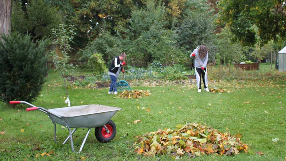 Luca und Joey haben Spaß beim Gartenprojekt der Diakonie in Altentreptow