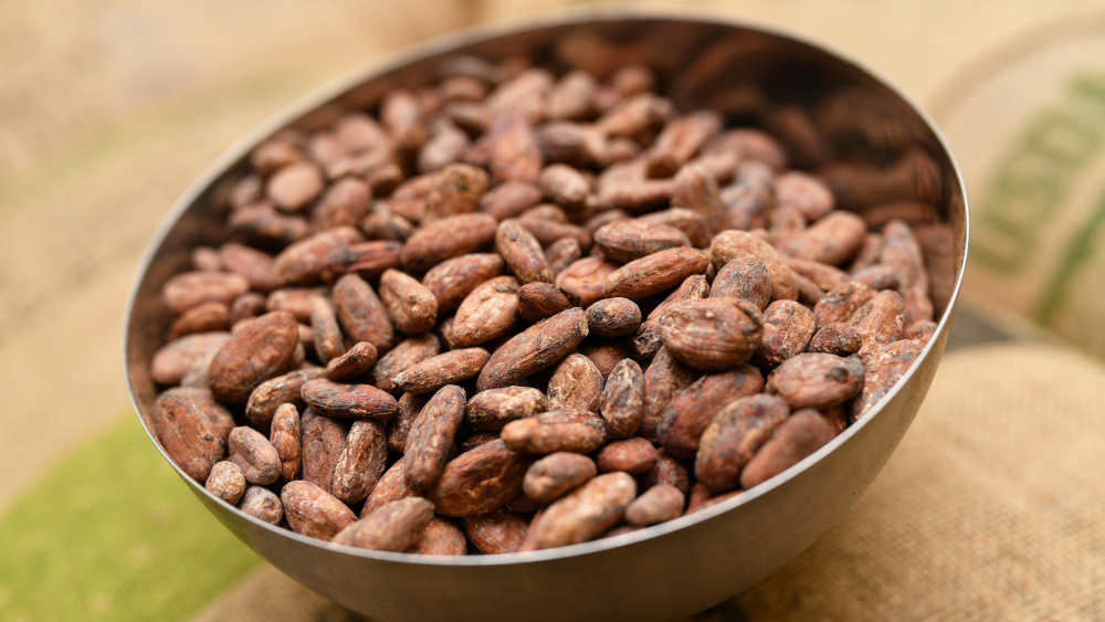 Trotz Rekordpreisen für Kakao leben viele Kleinbäuerinnen und -bauern weiter in Armut