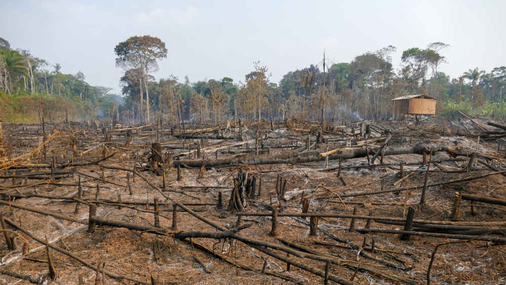 Waldbrände zerstören das Amazonasgebiet