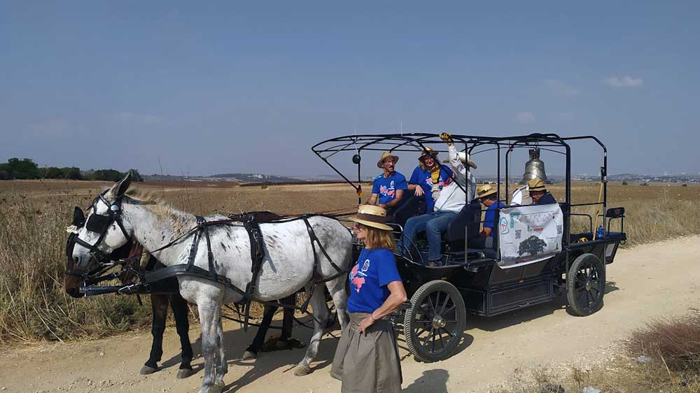 Zwei Maultiere ziehen den Friedenstreck durch Israel