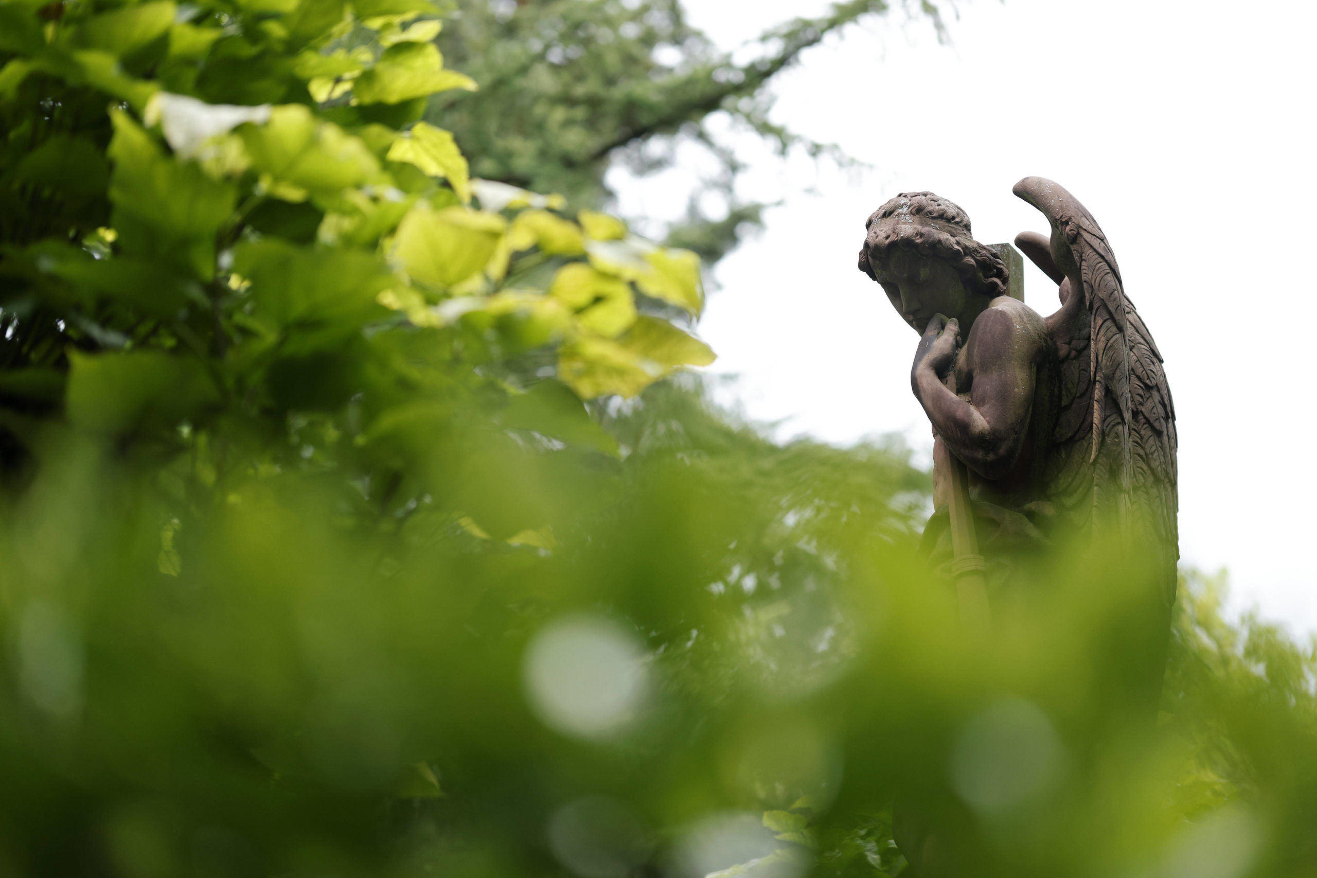 Eine verwitterte Engelstatue auf einem Friedhof – Sinnbild für Erinnerung und stilles Gedenken
