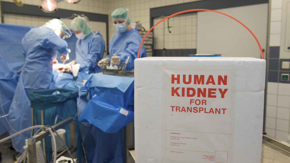 Trotz Widerspruchsregelung steigt die Organspenderate nur leicht. Experten empfehlen eine neue Gesamtstrategie