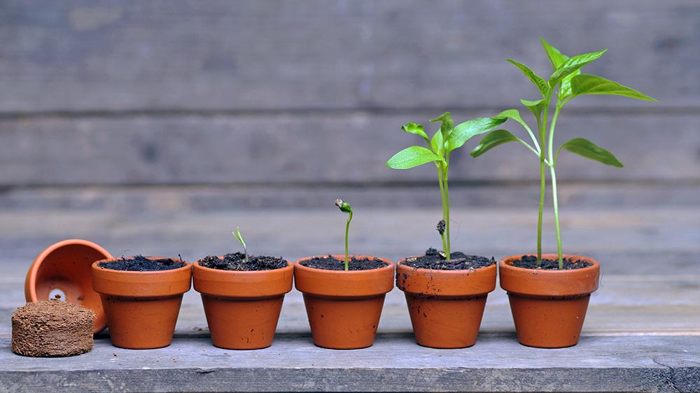 Die Jahreslosung 2026 erzählt von neuen Anfängen