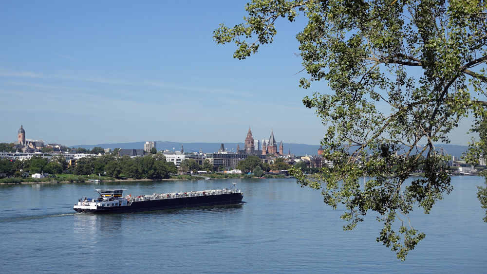 Urnenbeisetzung: Erste Flussbestattung im Rhein bei Mainz