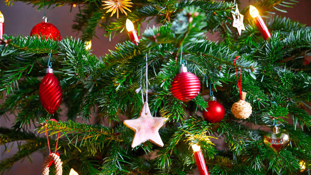 Immer mehr Adventsbäume und frühe Deko zeigen den Wandel der Weihnachtszeit