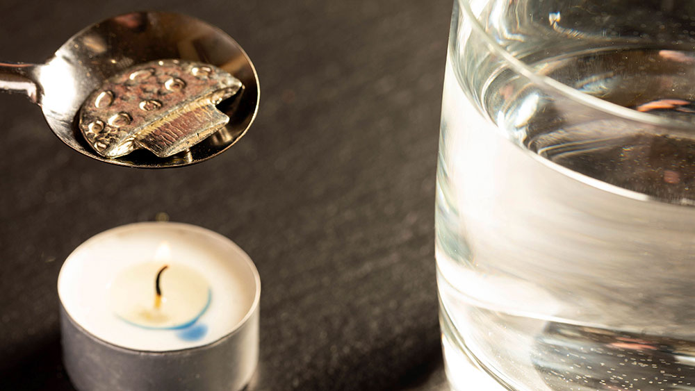 Image - Silvesterbrauch: Mit Goldbären-Orakel und Senf-Sause ins Glück