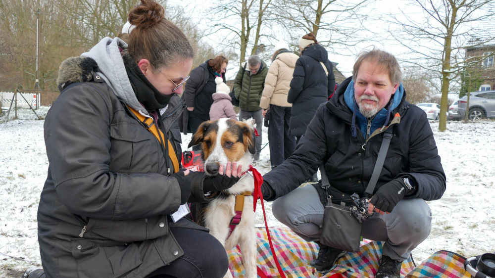 Beim Bark Date treffen sich Menschen und Tierschutzhunde, um sich kennenzulernen