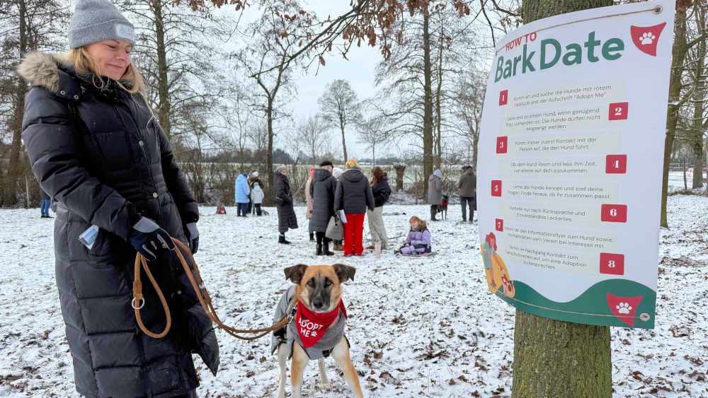 Neues Zuhause für Hunde: Speed-Dating der besonderen Art