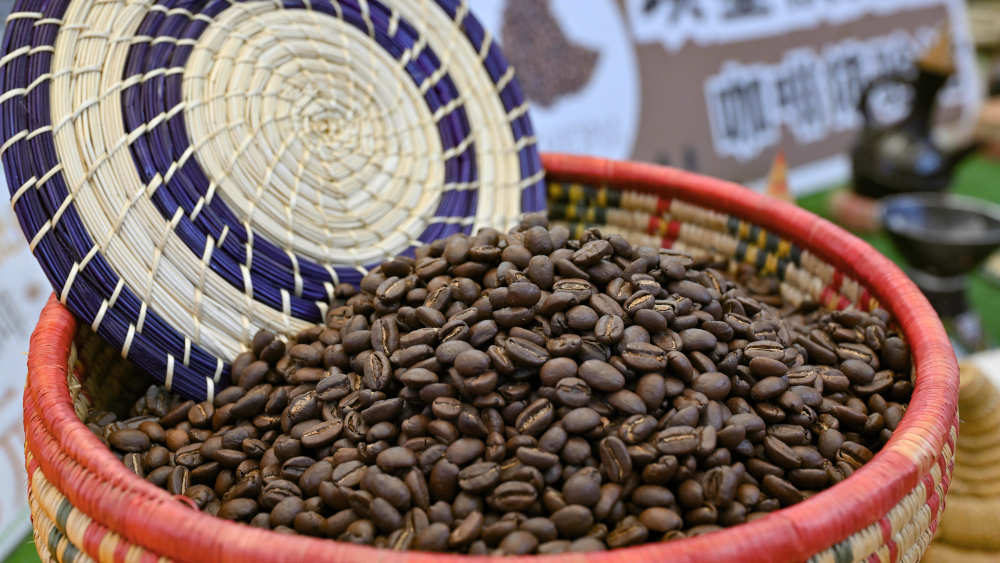 Waldschutz mit Folgen – Warum Kaffee teurer werden könnte