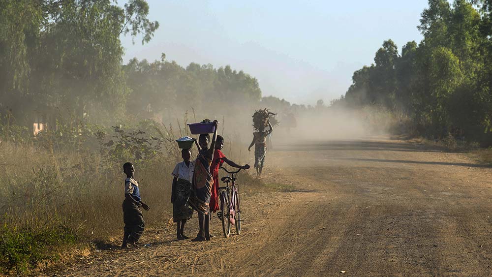 Malawi hatte 2025 mit Ernteausfällen zu kämpfen