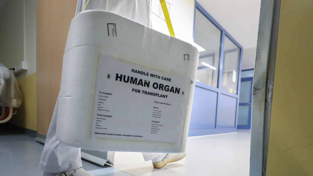 985 Menschen spendeten 2025 nach ihrem Tod Organe