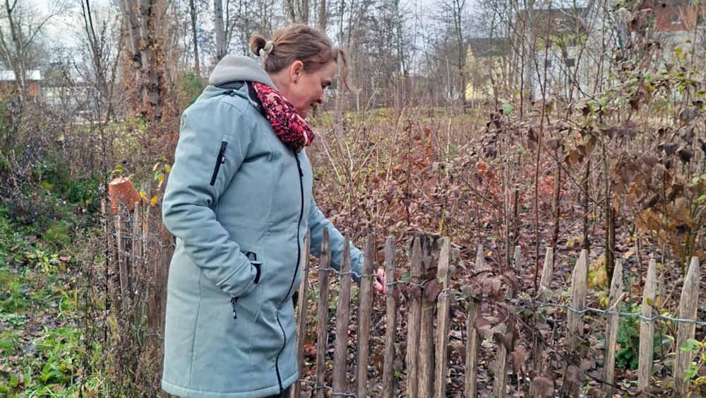 Image - Urbane Biodiversität: Kleine Wälder mitten in der Stadt