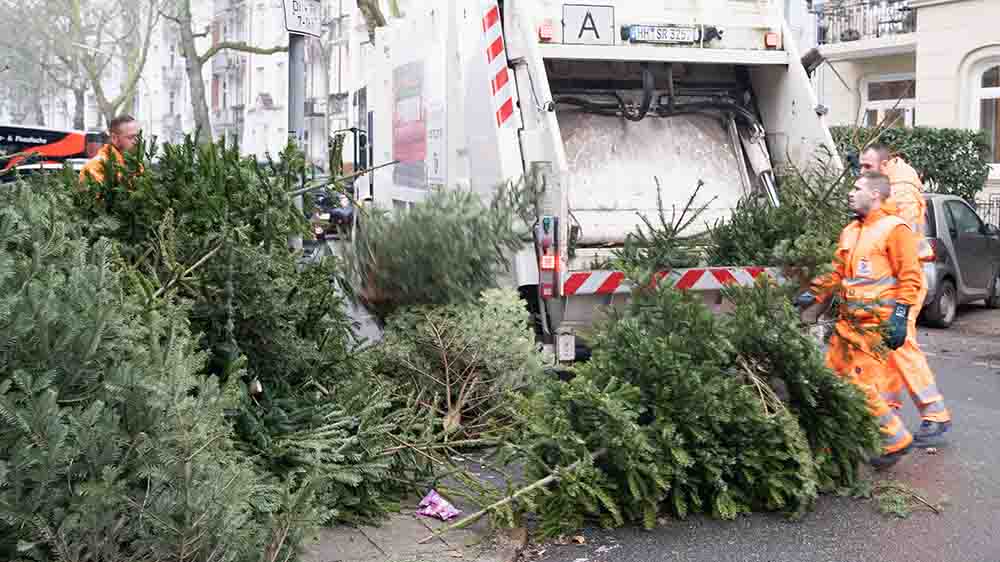 Wohin bloß mit dem alten Weihnachtsbaum?